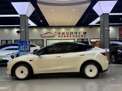 Tesla Model Y Rear-Wheel Drive - ფოტო 3