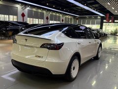 Tesla Model Y Rear-Wheel Drive - ფოტო 8