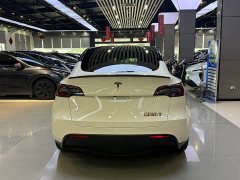 Tesla Model Y Rear-Wheel Drive - ფოტო 9