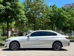 BMW 3 Series 320Li M Sport Package - ფოტო 8