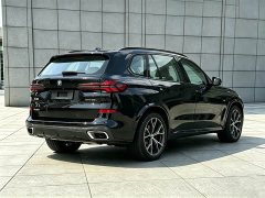BMW X5 xDrive 30Li M Sport Luxury Night Edition Package - ფოტო 18