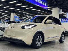 Wuling Binguo 333km Joy Edition - ფოტო 1