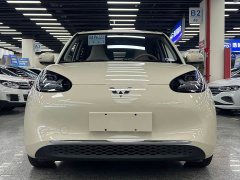 Wuling Binguo 333km Joy Edition - ფოტო 2