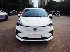 Changan Benben E-Star Shangxin Edition Multi-Color LFP Battery - ფოტო 2