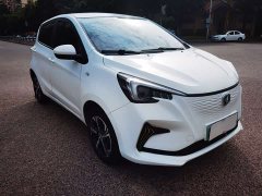Changan Benben E-Star Shangxin Edition Multi-Color LFP Battery - ფოტო 4