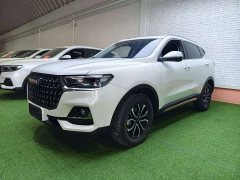 Haval H6 National Trend Edition 1.5T Automatic Urban Version - ფოტო 1