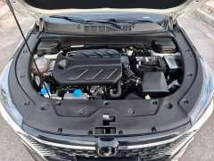 Changan X5 PLUS 1.5T DCT Edition - ფოტო 3