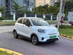 Leapmotor Leapo T03 400 Luxury Edition - ფოტო 3