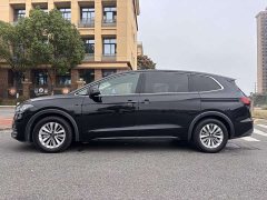 Volkswagen Viloran 330TSI Business Edition - ფოტო 3