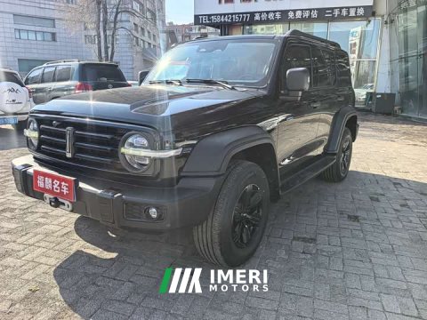 2021 Tank 300 Off-Road Edition 2.0T Conqueror - ავტომობილი ჩინეთიდან