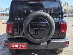 Tank 300 Off-Road Edition 2.0T Conqueror - ფოტო 4