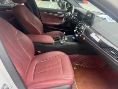 BMW 5 Series 530Li Premier M Sport Package - ფოტო 10