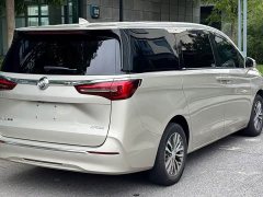 Buick GL8 Land Official Business Class 652T Comfort Edition - ფოტო 10