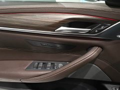 BMW 5 Series Facelift 530Li Premier M Sport Package - ფოტო 8