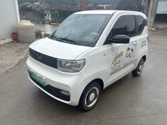 Wuling Hongguang MINIEV 2022 Zizai Edition LFP Battery - ფოტო 1