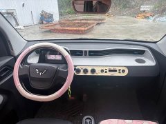 Wuling Hongguang MINIEV 2022 Zizai Edition LFP Battery - ფოტო 8