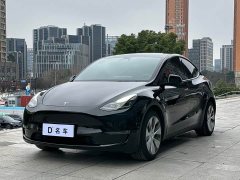 Tesla Model Y Long Range All-Wheel Drive - ფოტო 1