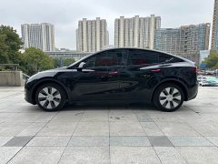 Tesla Model Y Long Range All-Wheel Drive - ფოტო 11