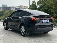 Tesla Model Y Long Range All-Wheel Drive - ფოტო 14