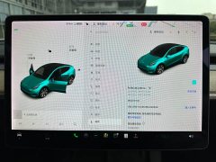 Tesla Model Y Long Range All-Wheel Drive - ფოტო 15