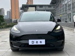 Tesla Model Y Long Range All-Wheel Drive - ფოტო 2