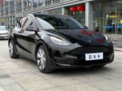 Tesla Model Y Long Range All-Wheel Drive - ფოტო 3
