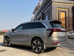 Great Wall WEY Blue Mountain 2023 Four-Wheel Drive Extended Range Version - ფოტო 4
