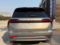 Great Wall WEY Blue Mountain 2023 Four-Wheel Drive Extended Range Version - ფოტო 6