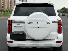 Tank 500 New Energy Hi4-Z - ფოტო 16