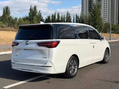 Buick GL8 ES Luxe 653T Comfort - ფოტო 12