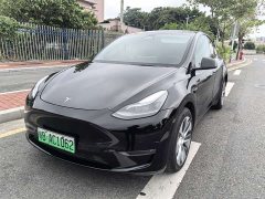 Tesla Model Y Long Range All-Wheel Drive - ფოტო 1