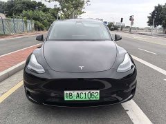 Tesla Model Y Long Range All-Wheel Drive - ფოტო 2