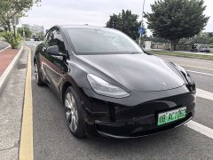 Tesla Model Y Long Range All-Wheel Drive - ფოტო 3