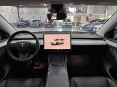 Tesla Model Y Rear-Wheel Drive - ფოტო 12