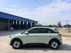 Geely Xing Yuan 310km Youth Edition - ფოტო 6