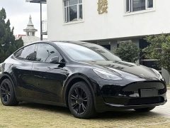 Tesla Model Y 2022 Rear-Wheel Drive - ფოტო 2