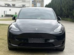 Tesla Model Y 2022 Rear-Wheel Drive - ფოტო 3
