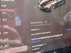 Tesla Model 3 Standard Range RWD Upgrade - ფოტო 15