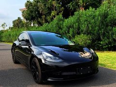 Tesla Model 3 Standard Range RWD Upgrade - ფოტო 3