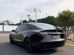 Tesla Model 3 Standard Range RWD Upgrade - ფოტო 5