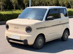 Geely Panda Mini 200km Endurance Edition - ფოტო 1
