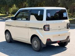 Geely Panda Mini 200km Endurance Edition - ფოტო 11