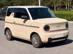 Geely Panda Mini 200km Endurance Edition - ფოტო 3