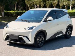 BYD Seagull 305km Freedom Edition - ფოტო 1