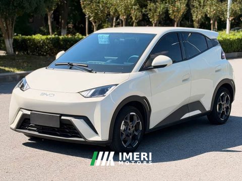2025 BYD Seagull 305km Freedom Edition - ავტომობილი ჩინეთიდან