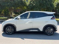 BYD Seagull 305km Freedom Edition - ფოტო 11