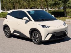 BYD Seagull 305km Freedom Edition - ფოტო 3