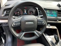 Haval H6 1.5T Automatic Champion Edition - ფოტო 16