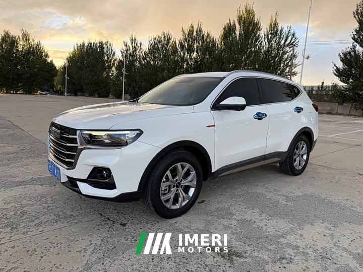 Haval H6 2021 National Trend 1.5T Automatic Champion Edition - ავტომობილი ჩინეთიდან