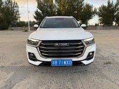 Haval H6 2021 National Trend 1.5T Automatic Champion Edition - ფოტო 2